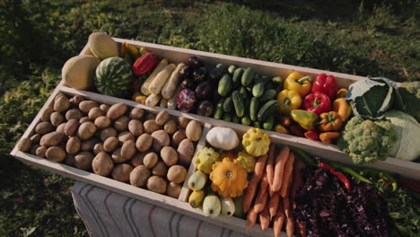 counter with seasonal vegetables at the farmers' market 2