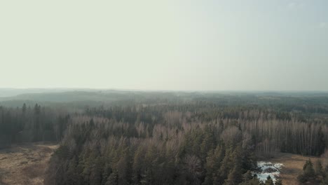 aerial panoramic view of forest in winter season
