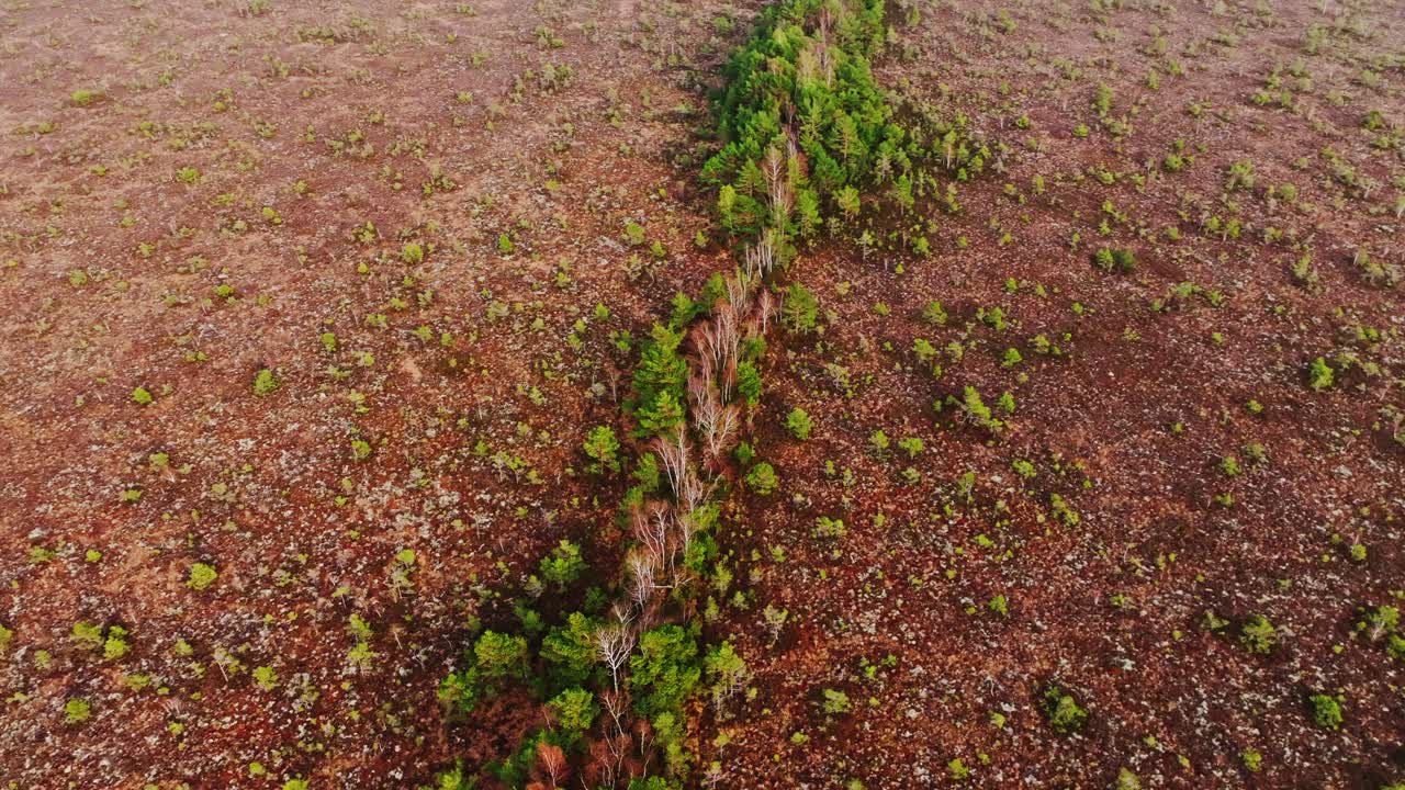 Drone glides left revealing narrow forest strip in Rucava bog, Latvia, Baltics