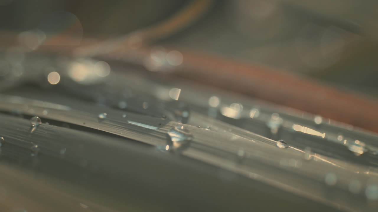 빗방울, 재집중, 슬로우 모션으로 덮인 밝은 녹색 잎의 흐릿한 매크로 샷