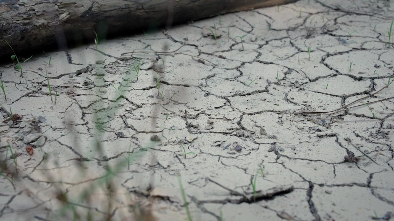 Impatto del riscaldamento globale sul suolo che mostra estese crepe e terreno colpito da siccità estrema.
