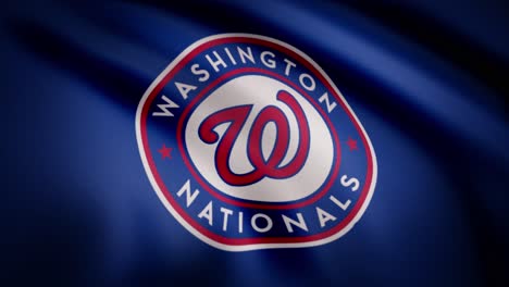 washington nationals logo on a flag