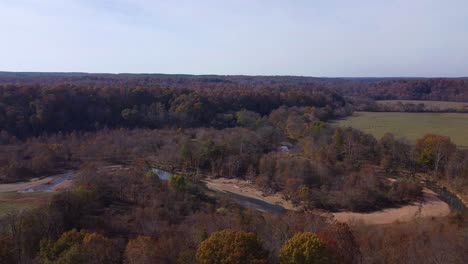 Autumn-Trees-In-The-Forest-Surrounding-Creek-On-A-Sunny-Day