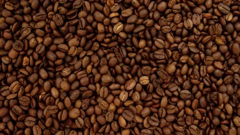 close-up of coffee beans