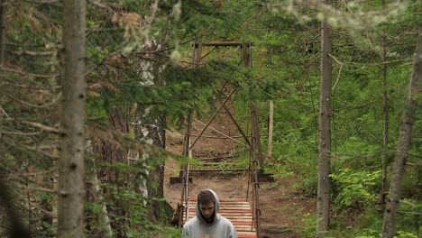 wooden bridge in a forest