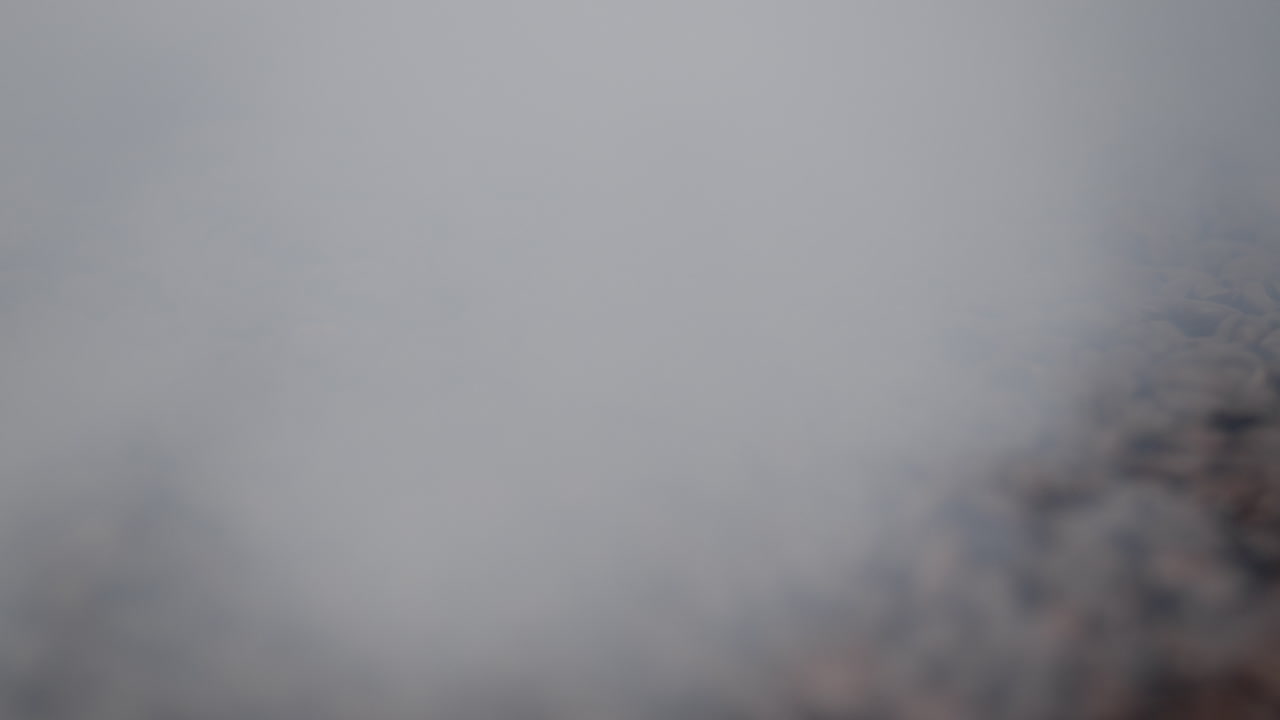 fabrique에서 커피 콩