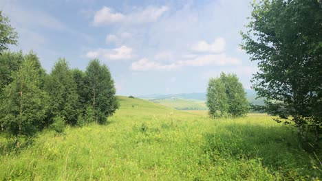 a beautiful, grassy field with trees and hills in the distance under a bright blue sky