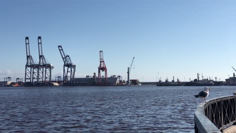 clip de cámara lenta de un puerto de muelle industrial con contenedores y grúas en el fondo y un cielo azul