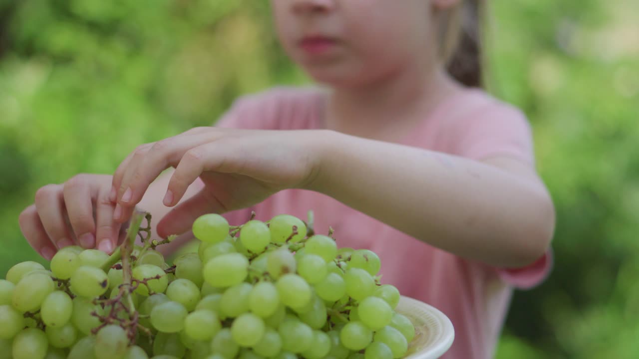 una niña pequeña está comiendo uvas verdes afuera durante el verano-1