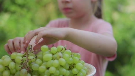 una niña pequeña está comiendo uvas verdes afuera durante el verano-1