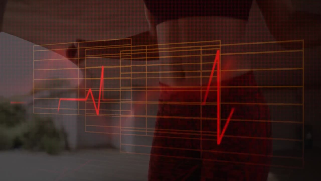 건강 한 생활 방식 과 신체 활동