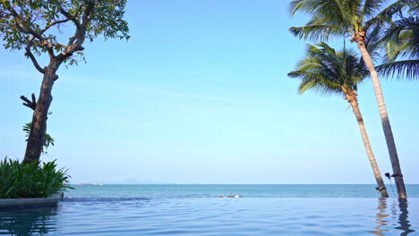 the edge on an infinity pool makes it appear as if palm trees are growing out of the water