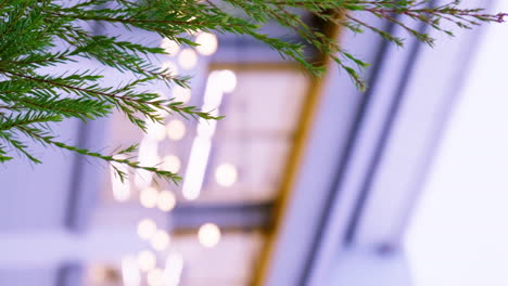 beautiful background with green foliage in sunset time against the backdrop of lanterns