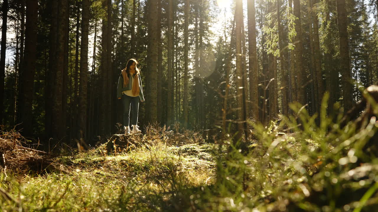 Woman Hiking in a Sunny Forest
