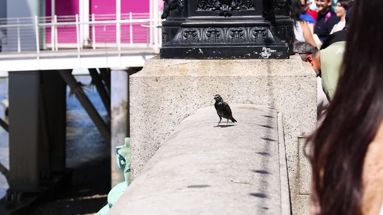 테임즈 강 근처 의 벽 에 있는 스탈링