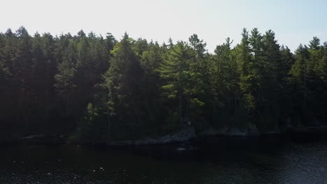 Young-man-leaps-off-tree-platform-into-summer-lake,-doing-back-flip