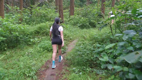 hikers on a trail in a forest
