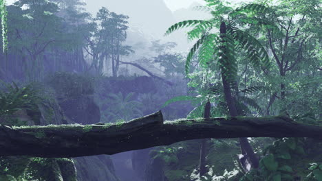 lush tropical forest with misty mountains in the background at dawn
