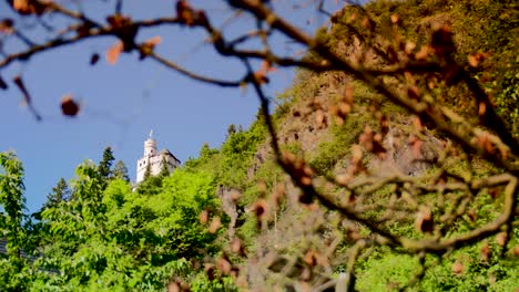 Looking-through-branches-at-a-Castle-on-a-hill