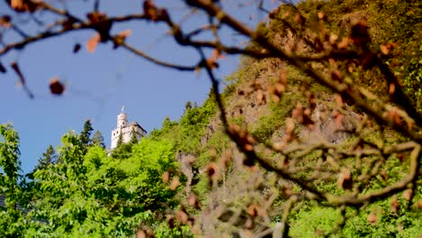 looking through branches at a castle on a hill