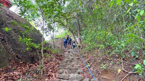 people are climbing a rocky path on a mountain slope with tree vegetation