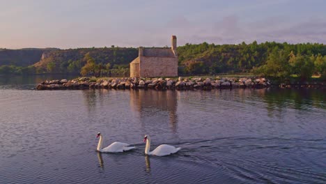 Swans-on-the-lake-next-to-Crkva-Duha-Svetog-during-sunrise,-aerial