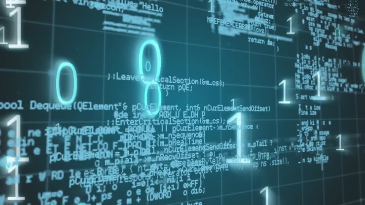 Binary and program codes
