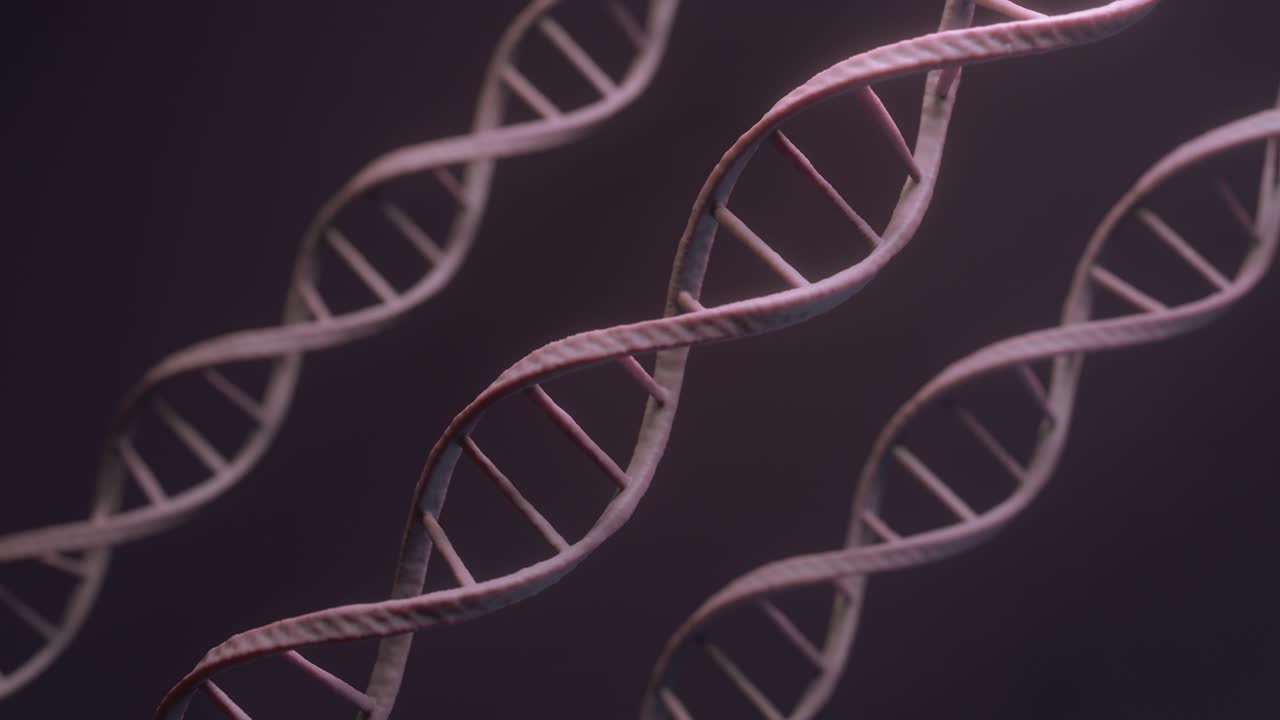 human DNA under microscope