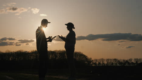 people talking at sunset in a field