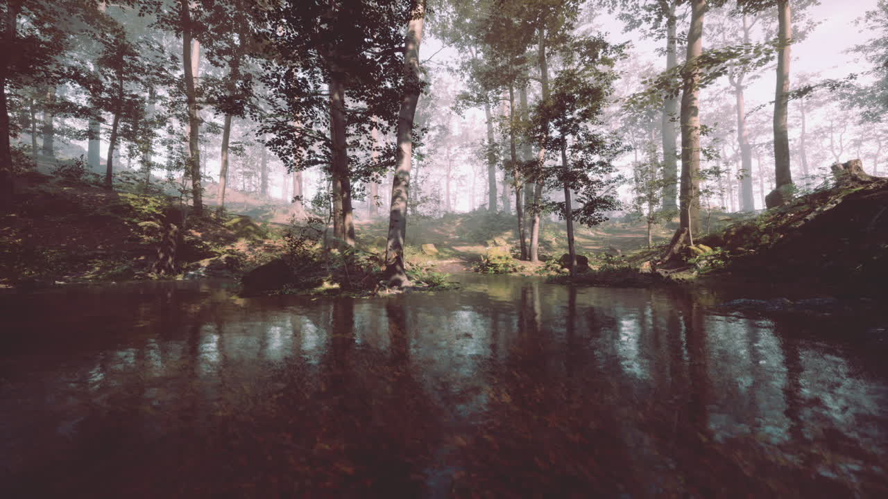 una escena de bosque sereno con un arroyo de niebla que refleja los árboles y la luz del sol