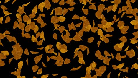 4k abstract autumn maple background leaf and particle light falling loop background alpha