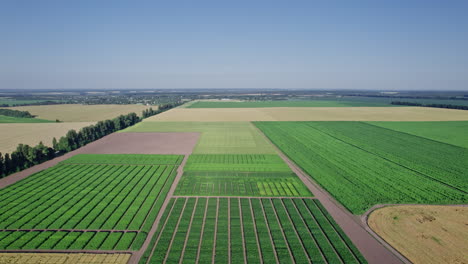 paisaje rural, granja
