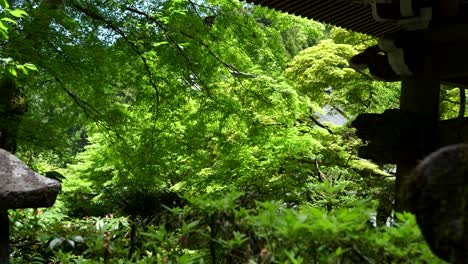 stunning nature temple with greenery in japan