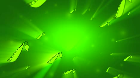 el guisante jugoso se mueve suavemente en el fondo verde. animación de bucle sin costuras en 3d.