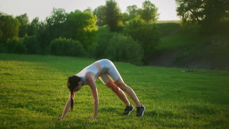 a woman performs a plank exercise standing on the grass at sunset in a park. slowly goes on the hands of on the grass. lift your legs in the plank exercise.