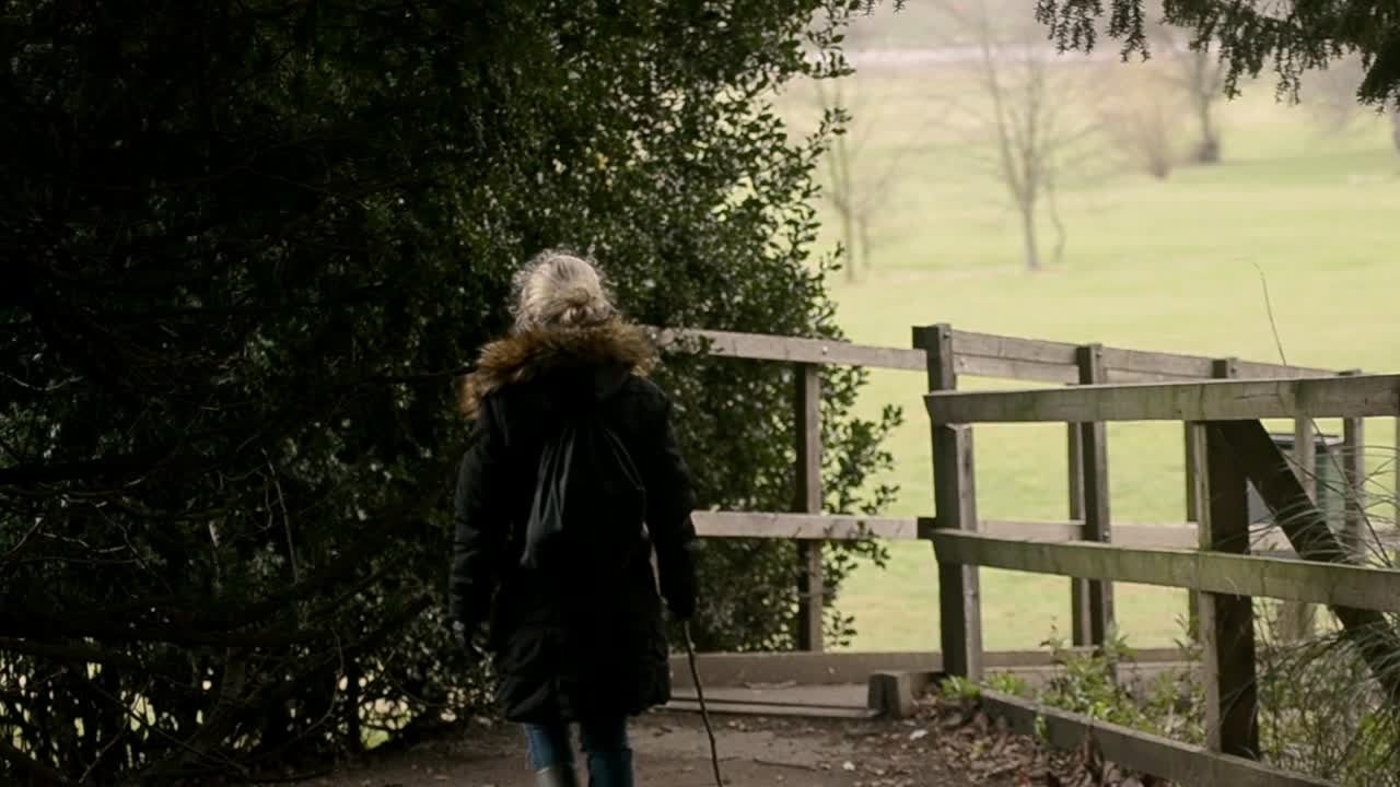 Woman with stick walks over bridge in countryside