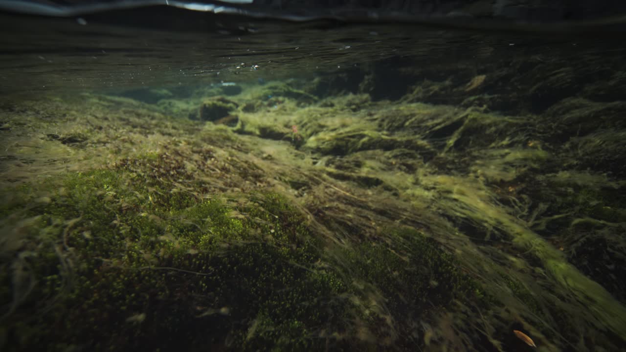 выстрел над мелководной рекой-2