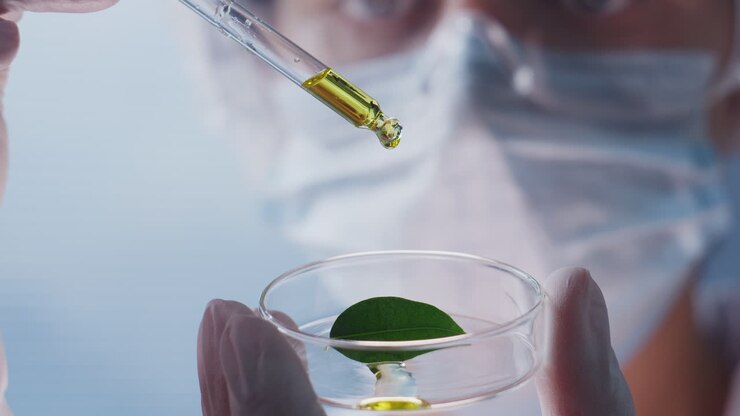 Close Up of Scientist Dropping Oil on Leaf in Petri Dish in Laboratory