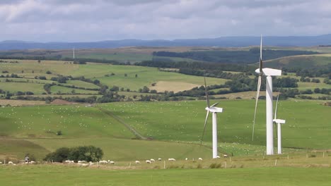 Windkraftanlagen-Und-Schafzucht.-Powys.-Wales.-Vereinigtes-Königreich