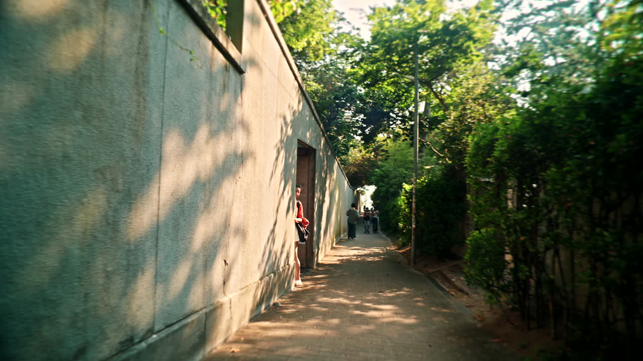 A path between a wall and shrubs