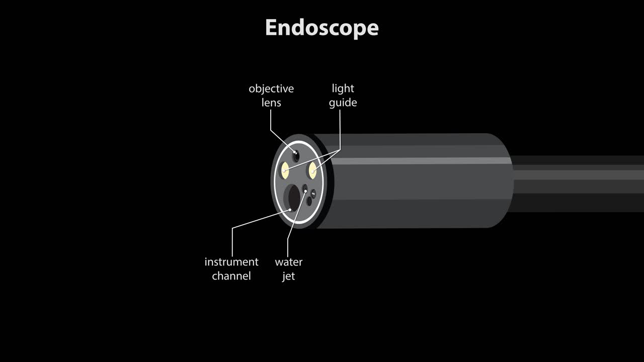 Detailed animation reveals endoscope tip structure, labeling objective lens, channels, and nozzle functions