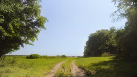 Verträumte-Grüne-Wiesenwiese-Mit-Unbefestigter-Straße-Während-Des-Warmen-Sonnigen-Sommertages-In-4k