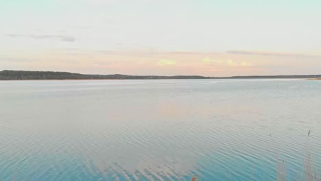 beautiful pink sunset over a fishing pond, relaxing evening by the water