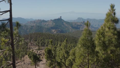 Wunderschöne-Drohnenaufnahme-Eines-Bergpanoramas-Mit-Wald-Vom-Pico-De-Las-Nieves-Bis-Zum-Roque-Nublo,-Gran-Canaria