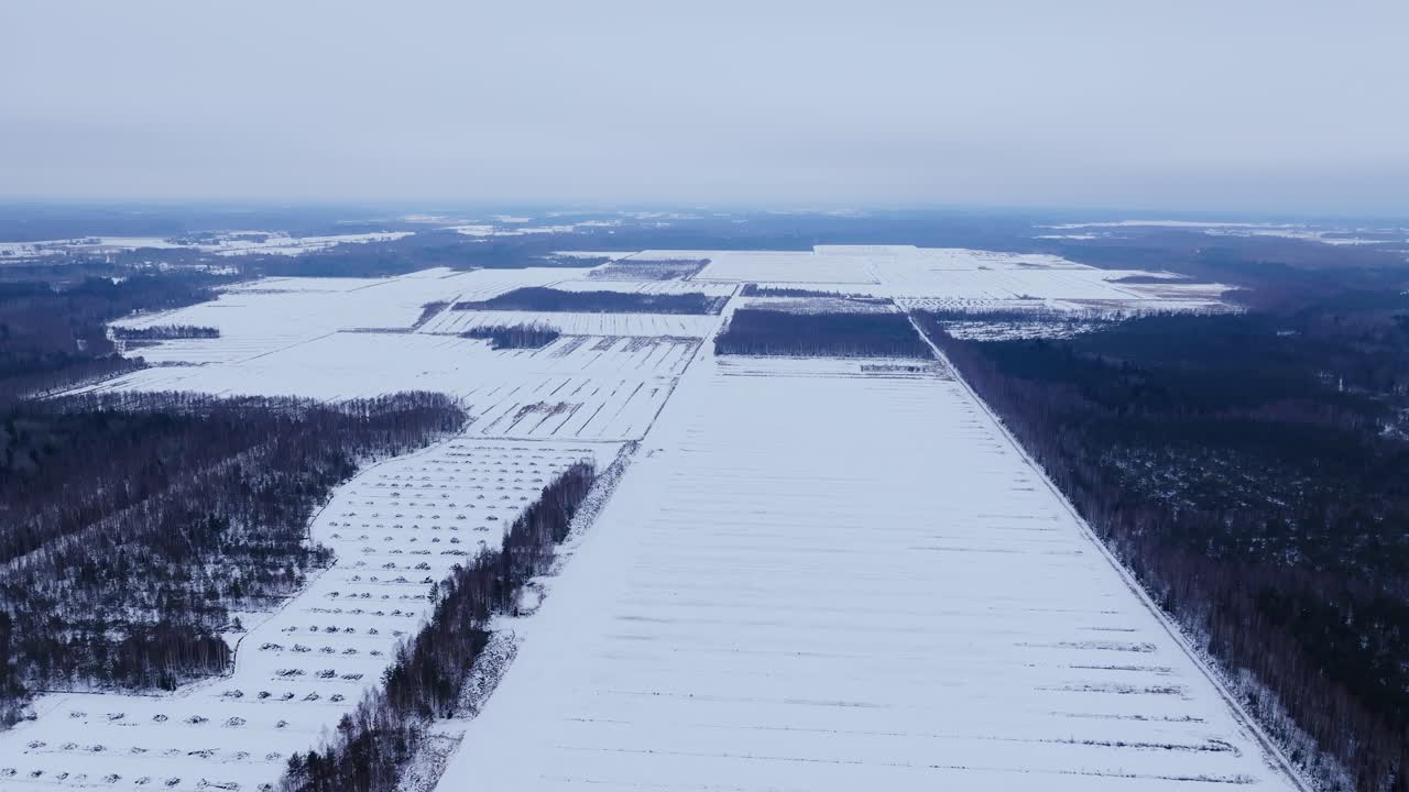 Frozen farmland and forest borders from vertical drone flight over Latvia fields