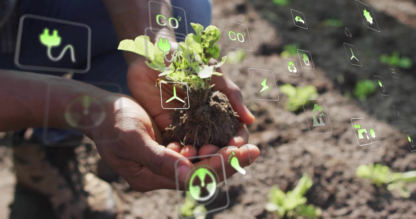 Giardiniere inginocchiato nel campo che solleva una piantina e fa apparire icone fluttuanti di dati ecologici che tracciano la salute.