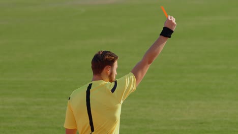 football soccer referee shows penalty yellow and red card, 75fps