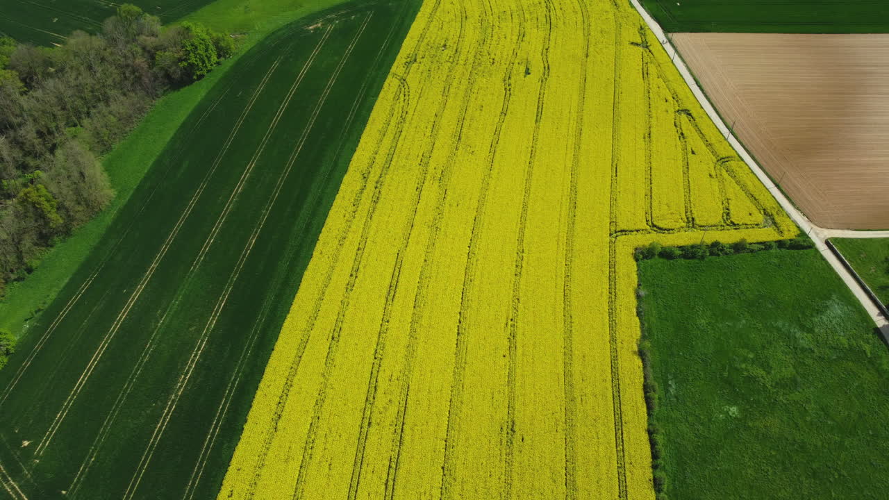 vista aérea de los campos agrícolas