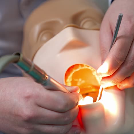 dummy for training dentists