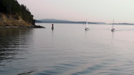 Veleros-Flotando-En-Las-Tranquilas-Aguas-Del-Estrecho-De-Rosario-Visto-Desde-Un-Ferry-En-Anacortes,-Washington,-Estados-Unidos